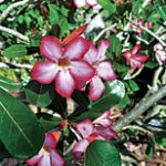 article image - 